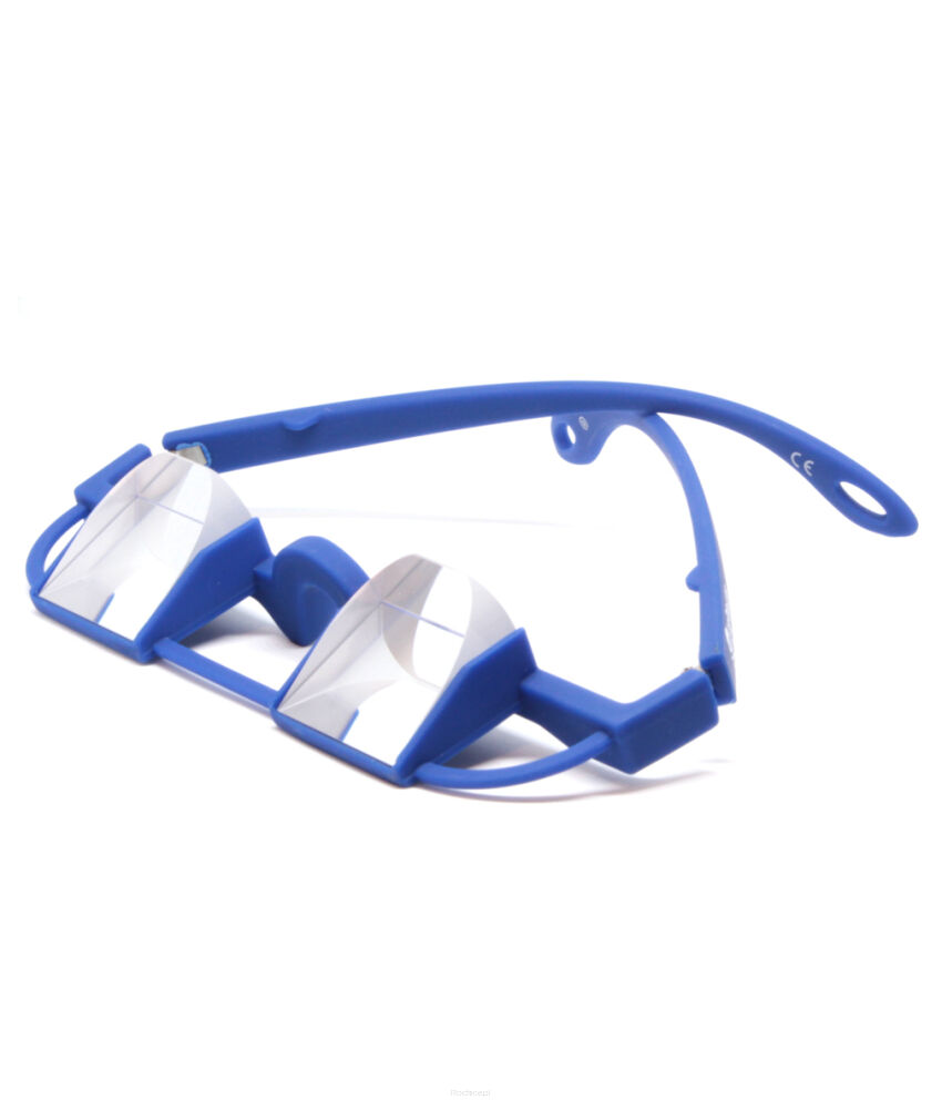 Okulary do asekuracji LePirate Belay 3.1 - navy